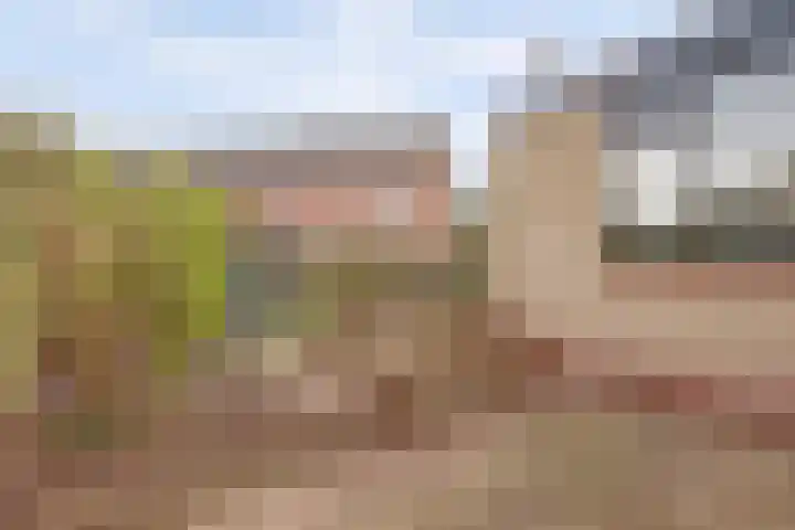 Achterweg 15 Heukelum thumbnail 43