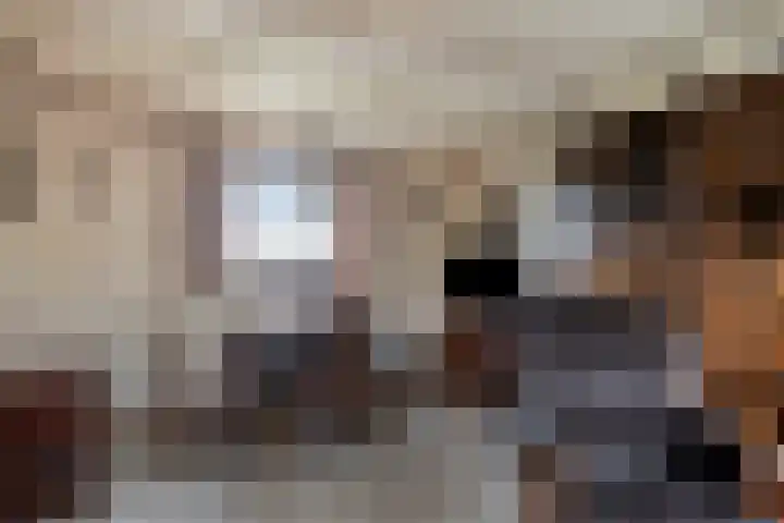 Achterweg 26 Melissant thumbnail 13