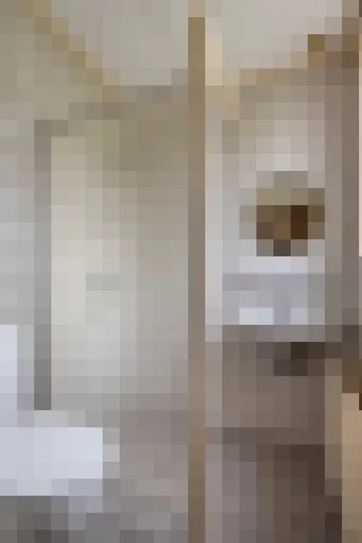 Achterweg 26 Melissant thumbnail 14