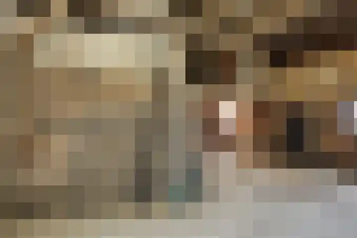 Achterweg 26 Melissant thumbnail 19
