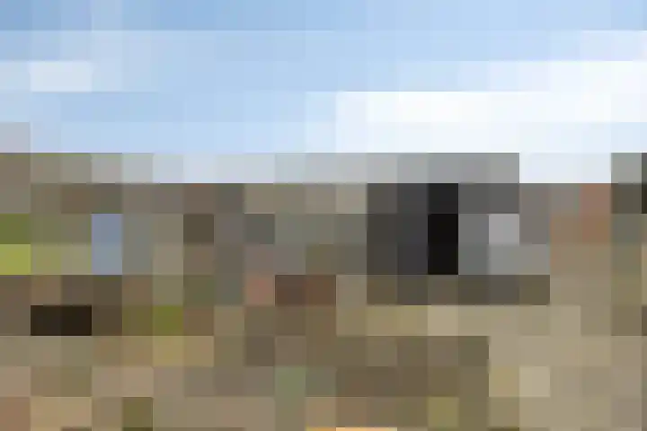 Achterweg 26 Melissant thumbnail 22