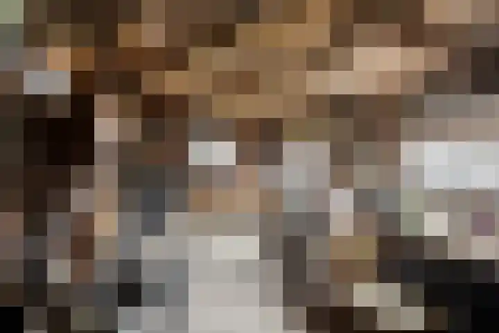 Achterweg 26 Melissant thumbnail 24