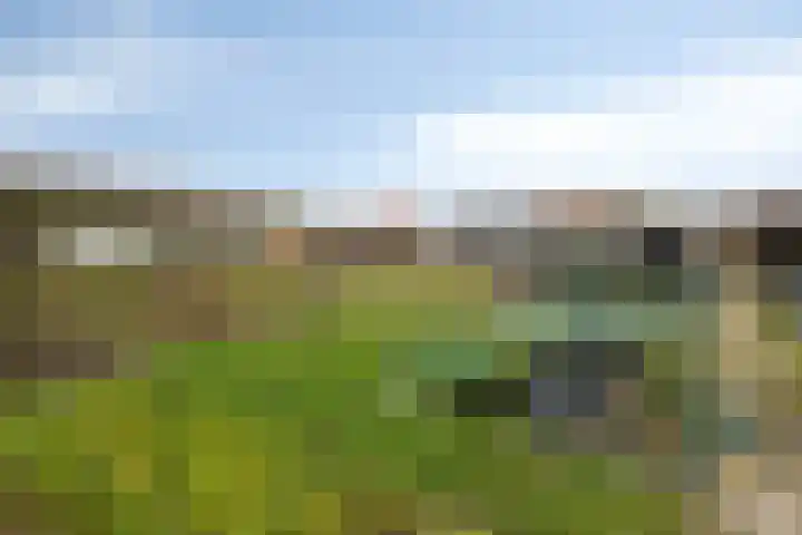 Achterweg 26 Melissant thumbnail 25