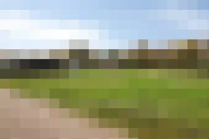 Achterweg 26 Melissant thumbnail 26