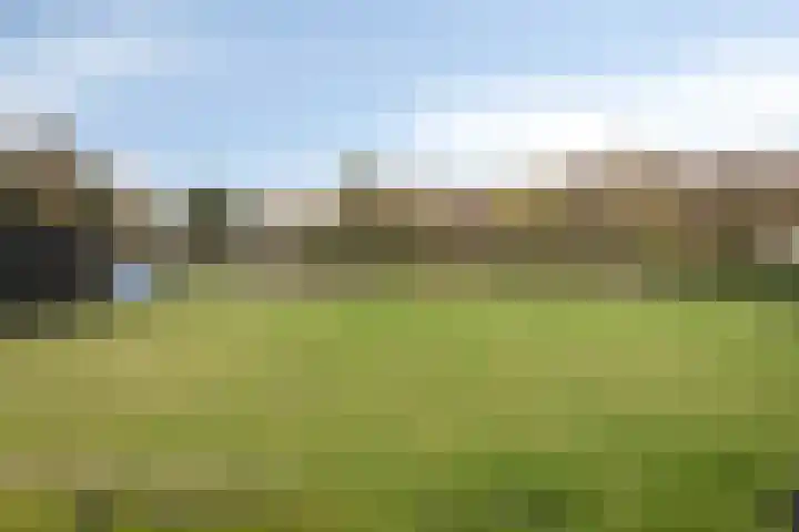 Achterweg 26 Melissant thumbnail 4