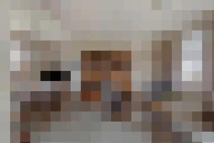 Achterweg 26 Melissant thumbnail 5