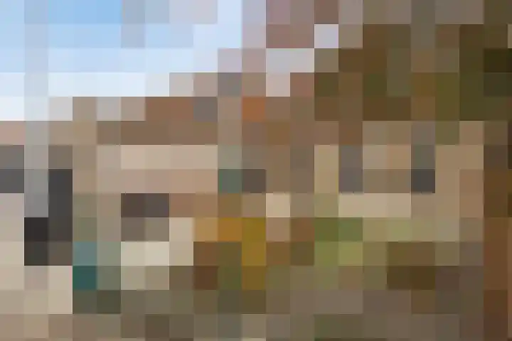 Achterweg 26 Melissant thumbnail 6