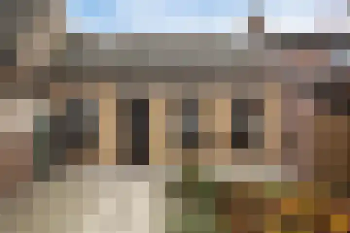 Achterweg 26 Melissant thumbnail 7