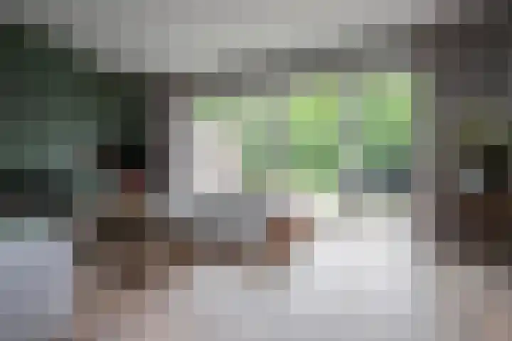 Achterweg 64 Genemuiden thumbnail 14