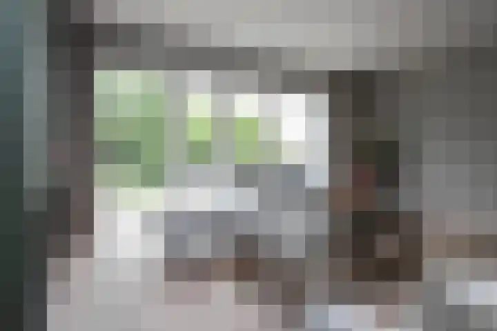 Achterweg 64 Genemuiden thumbnail 18