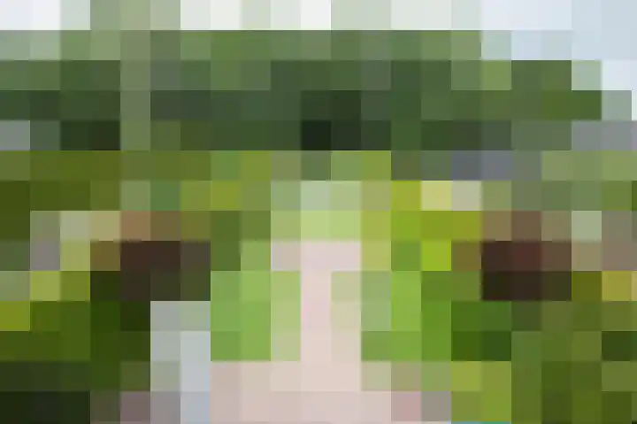 Achterweg 64 Genemuiden thumbnail 23