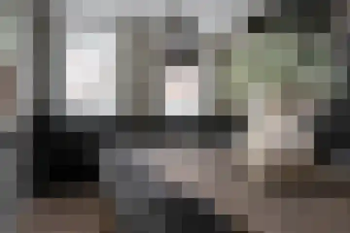 Achterweg 64 Genemuiden thumbnail 29