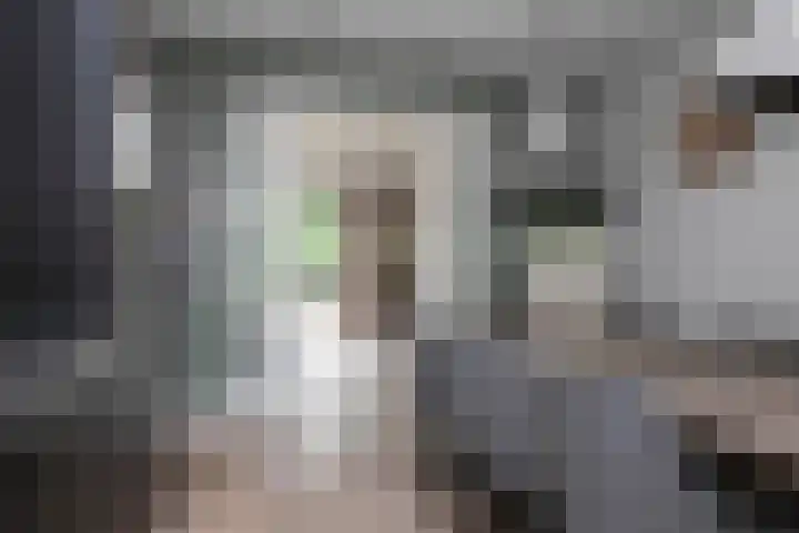 Achterweg 64 Genemuiden thumbnail 34