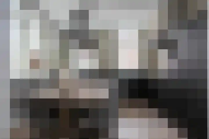 Achterweg 64 Genemuiden thumbnail 4