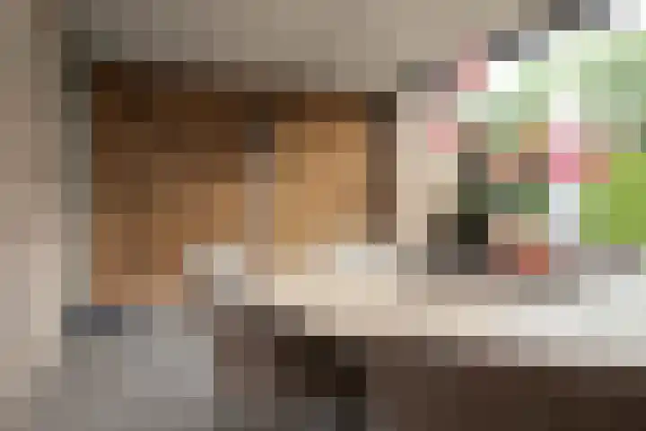 Achterweg 64 Genemuiden thumbnail 58
