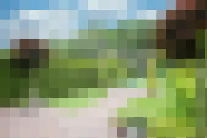 Achterweg 64 Genemuiden thumbnail 61