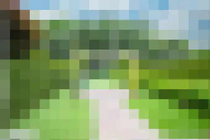 Achterweg 64 Genemuiden thumbnail 62