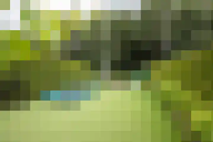 Achterweg 64 Genemuiden thumbnail 64