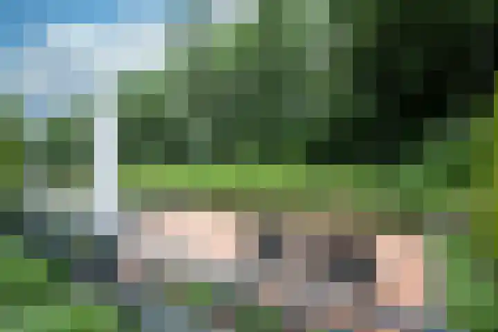 Achterweg 64 Genemuiden thumbnail 65