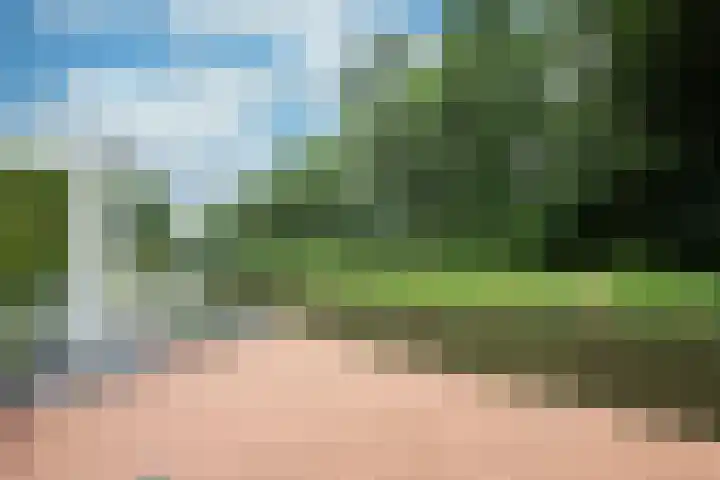Achterweg 64 Genemuiden thumbnail 66