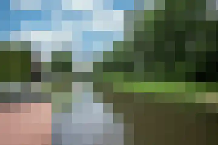 Achterweg 64 Genemuiden thumbnail 67