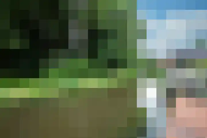 Achterweg 64 Genemuiden thumbnail 68