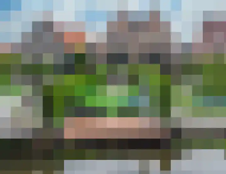 Achterweg 64 Genemuiden thumbnail 70