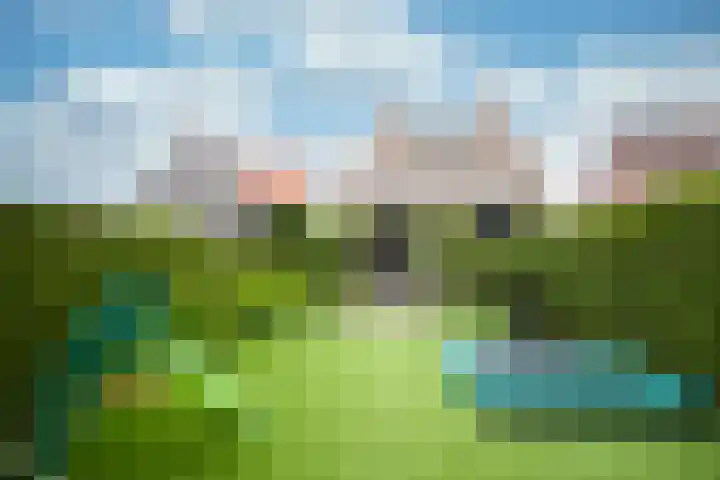 Achterweg 64 Genemuiden thumbnail 71