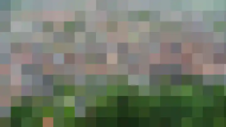 Achterweg 64 Genemuiden thumbnail 78