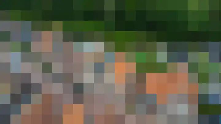 Achterweg 64 Genemuiden thumbnail 8