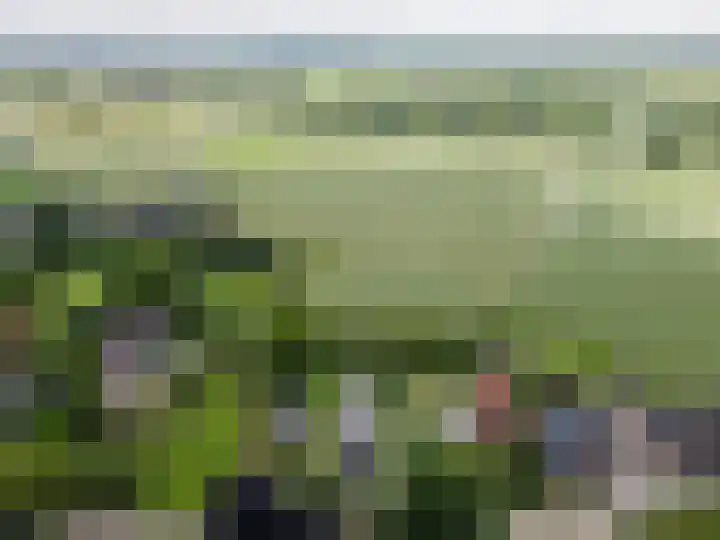Achterweg 77 Acquoy thumbnail 101
