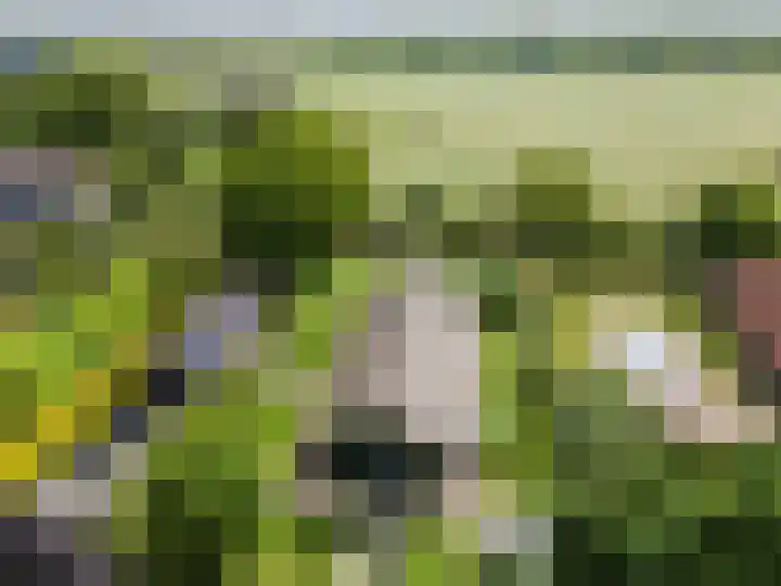 Achterweg 77 Acquoy thumbnail 102