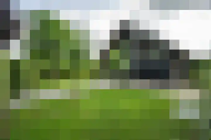 Achterweg 77 Acquoy thumbnail 11