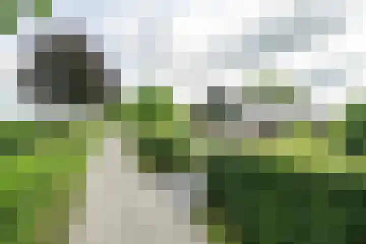 Achterweg 77 Acquoy thumbnail 12