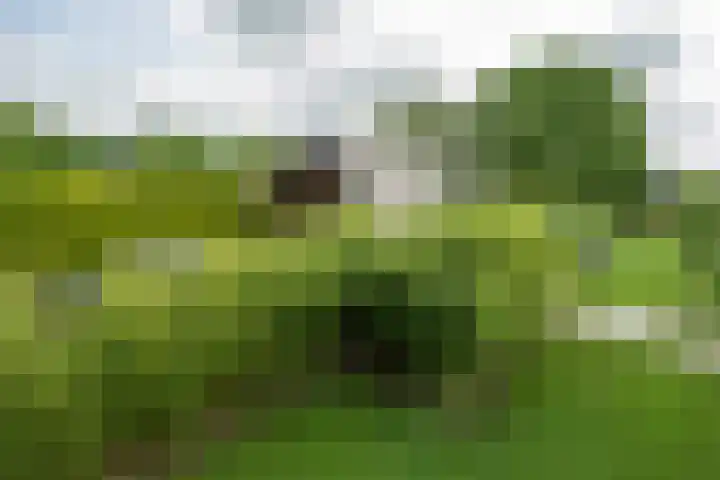 Achterweg 77 Acquoy thumbnail 17