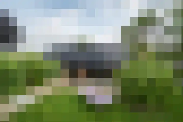 Achterweg 77 Acquoy thumbnail 19
