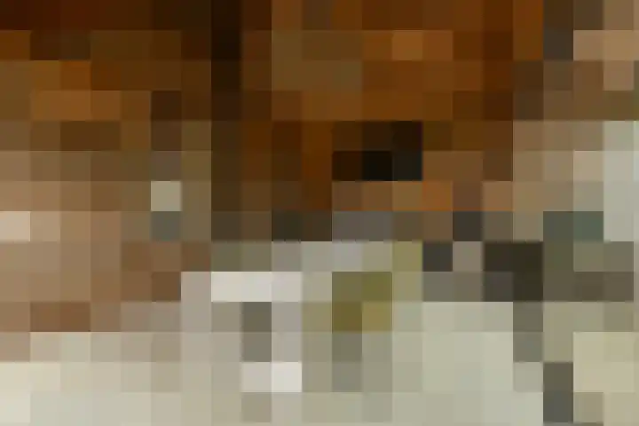 Achterweg 77 Acquoy thumbnail 21