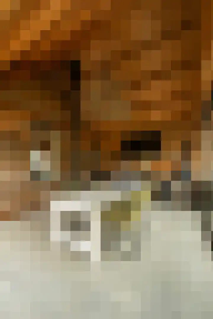Achterweg 77 Acquoy thumbnail 22