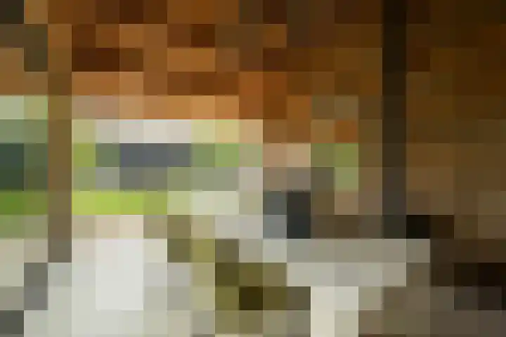 Achterweg 77 Acquoy thumbnail 23