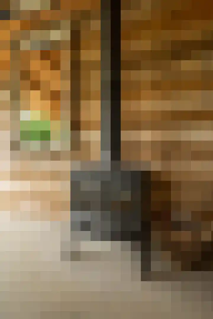 Achterweg 77 Acquoy thumbnail 24