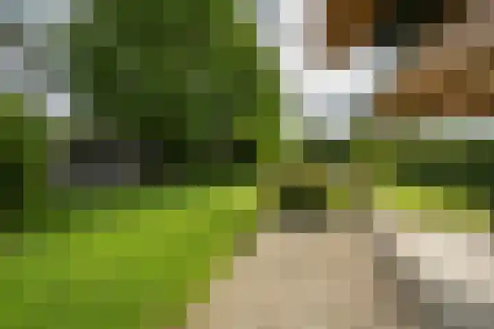 Achterweg 77 Acquoy thumbnail 25