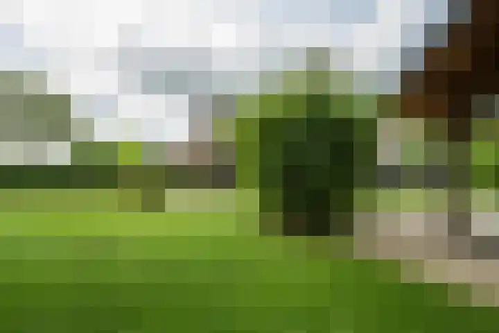 Achterweg 77 Acquoy thumbnail 30