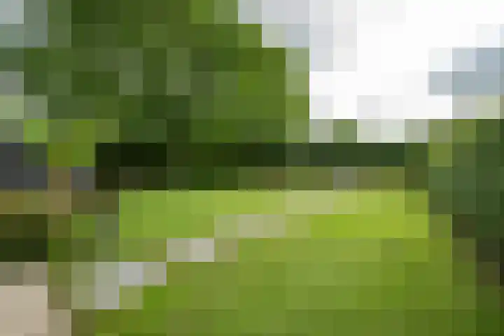 Achterweg 77 Acquoy thumbnail 32