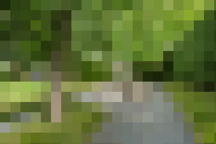 Achterweg 77 Acquoy thumbnail 35