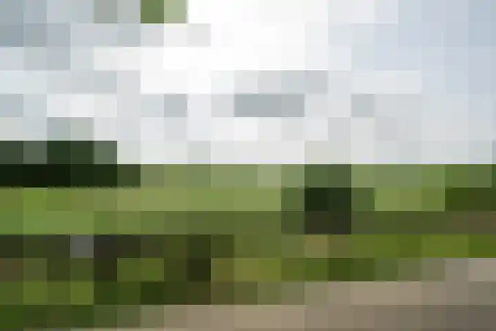 Achterweg 77 Acquoy thumbnail 37