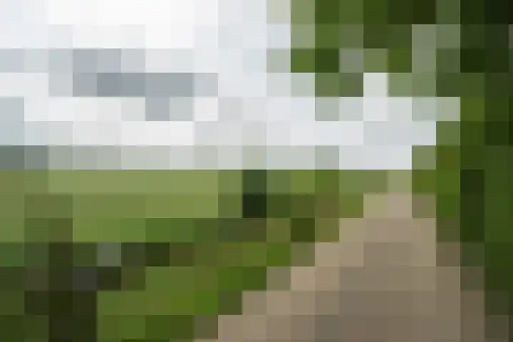 Achterweg 77 Acquoy thumbnail 38