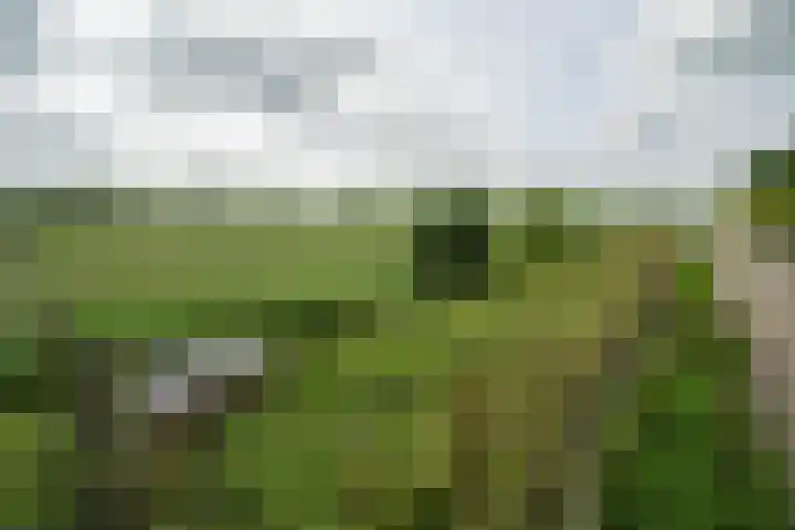 Achterweg 77 Acquoy thumbnail 39