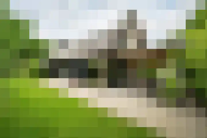 Achterweg 77 Acquoy thumbnail 4