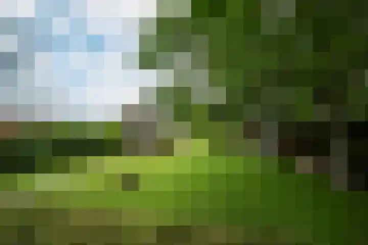 Achterweg 77 Acquoy thumbnail 41