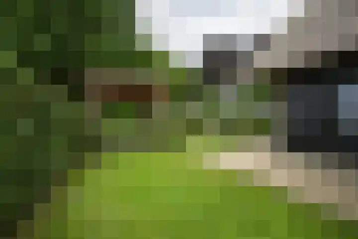 Achterweg 77 Acquoy thumbnail 42